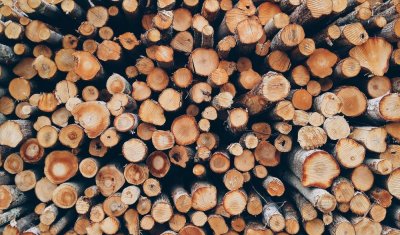 Réalisation de la transformation du bois de chauffage dans le Libournais